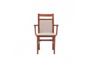 Krzesło, Fotel F 6, Różne kolory